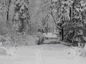 WENDIGO COUNTRY
